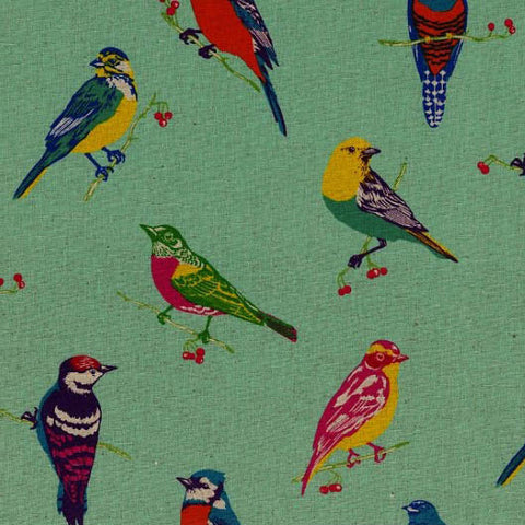 Birds Aqua