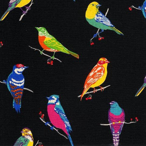 Birds Black