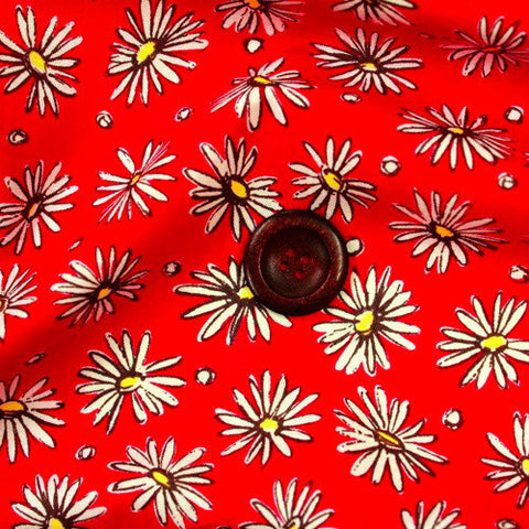Marguerite Daisy Red
