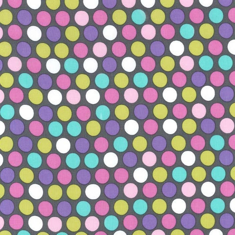 Diddly Dot Orchid