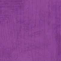 Collage Scratch Orchid