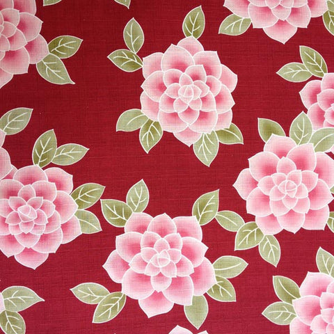 Japanese Camellia