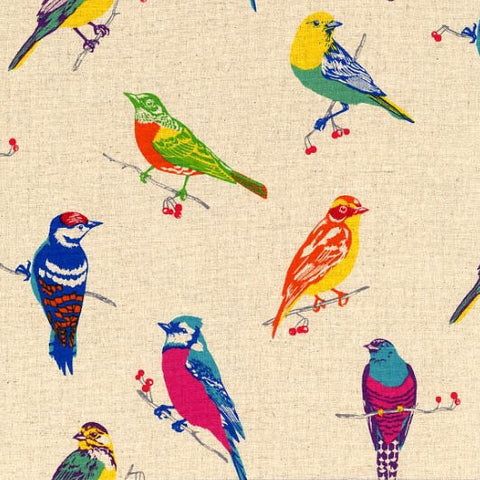 Birds Natural