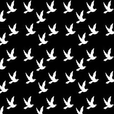 Dove in Black