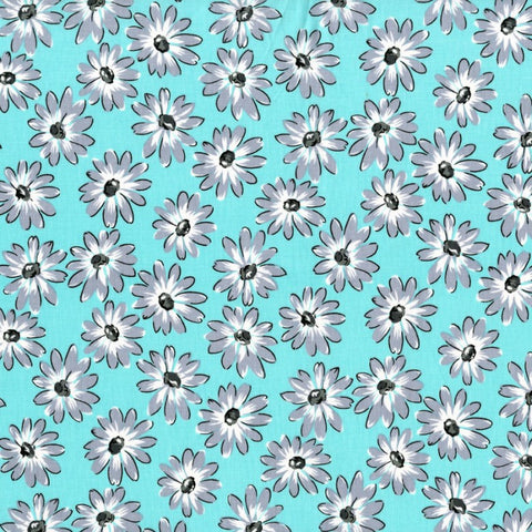 Shasta Daisy
