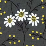 Wallflower Waltz