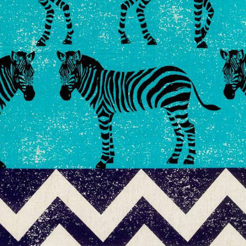 Zebra Aqua